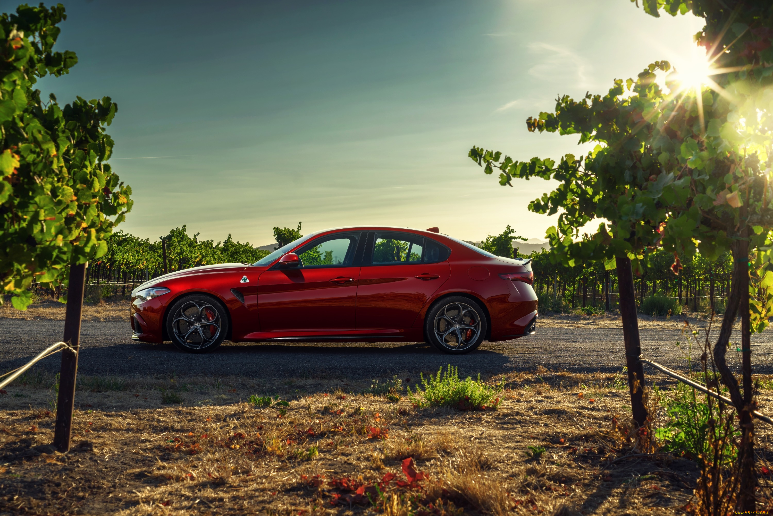 , alfa romeo, alfa, romeo, 2017, 952, us-spec, quadrifoglio, giulia